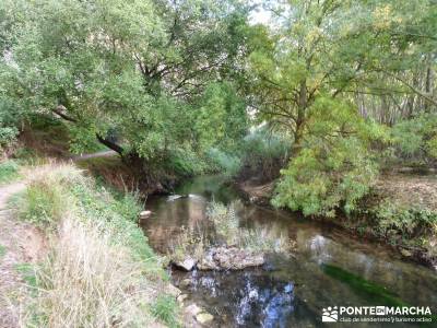 Hoces del Río Duratón - Sepúlveda;turismo aventura rutas senderos actividades de madrid